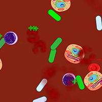 Immune System Educational Game - screenshot