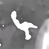 Moving Object Detection - screenshot